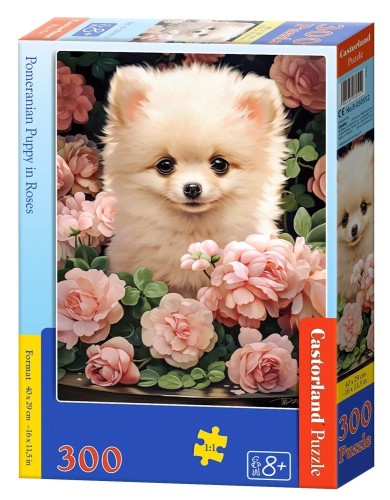imageUrlAdapter.php