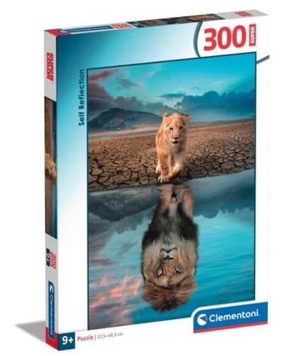 imageUrlAdapter.php