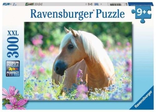 imageUrlAdapter.php