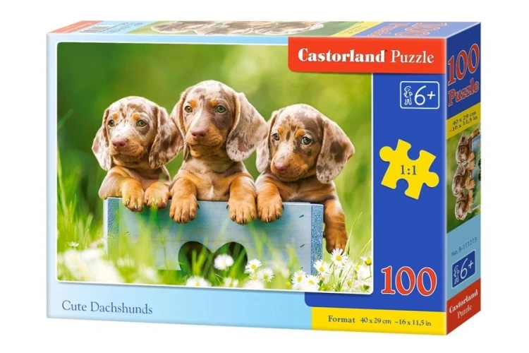 imageUrlAdapter.php