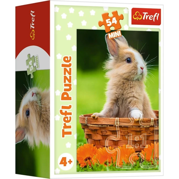 imageUrlAdapter.php