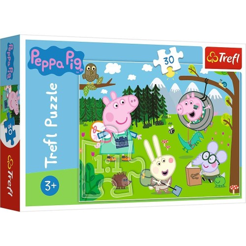 imageUrlAdapter.php