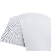 79532669_1.jpg